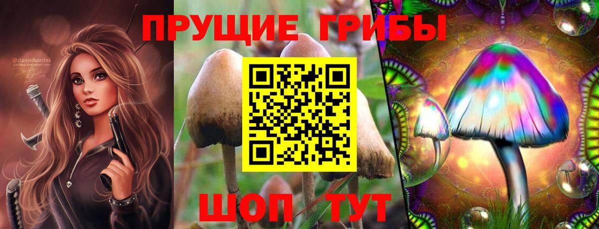 Галлюциногенные грибы Psilocybine cubensis  Вход с VPN  купить наркотик  Владикавказ 