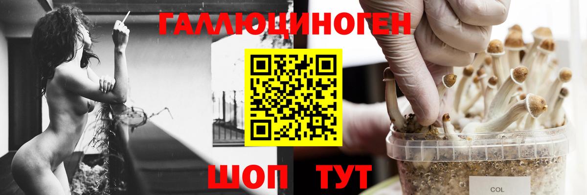 Псилоцибиновые грибы ЛСД Владикавказ